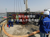 領導了解上海白龍港污水廠填埋場機器人不停產智能清淤2.jpg